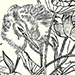 Anonymous Artist Gallery